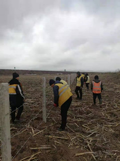 4_副本.jpg 4_副本.jpg